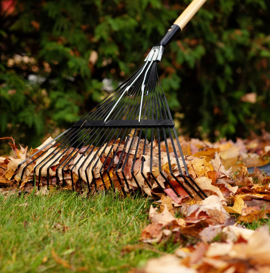 22 Tine Lawn Rake