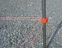 GNH - String Along Collars