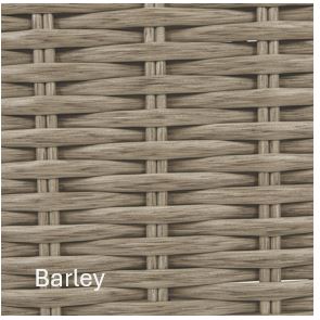 Barley.JPG