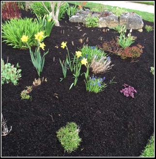 Nutrient Rich Mulch Compost