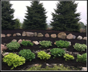 Nutrient Rich Mulch Compost