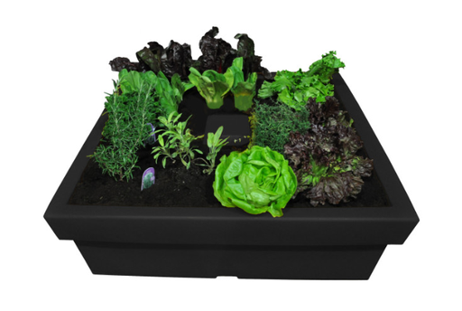 [UR.00.42] Urba Planter
